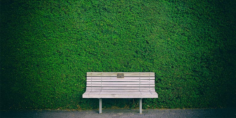 Entretenir la haie de son jardin