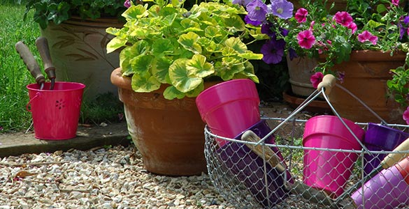 Pots de fleurs colorés 