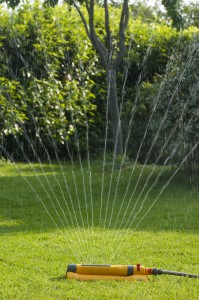 Arrosage d'un pelouse par arroseur oscillant Hozelock