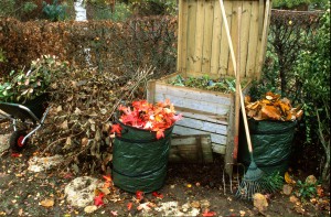 ramassage de feuilles mortes et branchages en automne pour préparer un compost