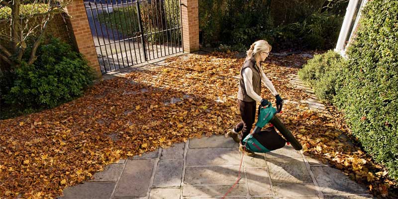 Recycler les feuilles vertes du jardin