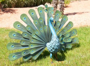 Paon décoratif Nortene - 32,50 €