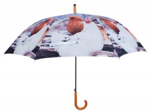 Parapluie tendance au motif Poule - 12 €
