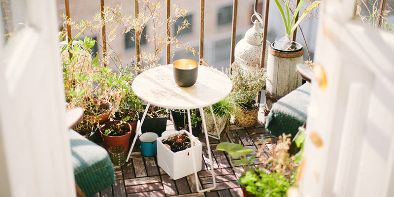 Décoration végétale sur la balcon