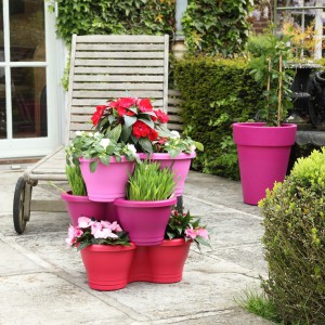 Pots de fleurs rose sur terrasse