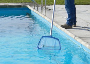 Épuisette pour nettoyer les débris flottant sur l'eau de la piscine