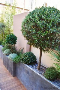 Aménagez des jardinières sur le côté de la terrasse