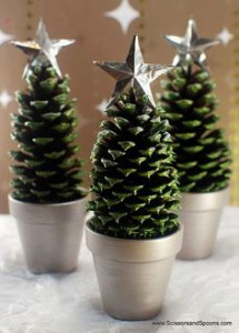 Sapins minatures