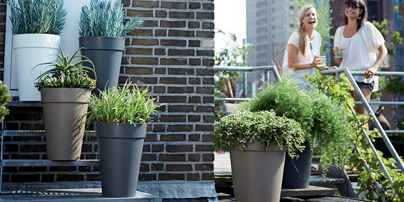 planter une plante dans un pot