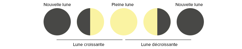 schema-explicant-la-lune-croissante-et-decroissante-utilie-pour-le-calendrier-lunaire
