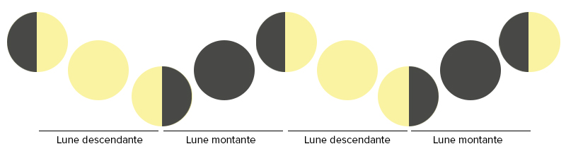 schema-expliquant-la-lune-montante-et-descendante-pour-jardiner-avec-la-lune