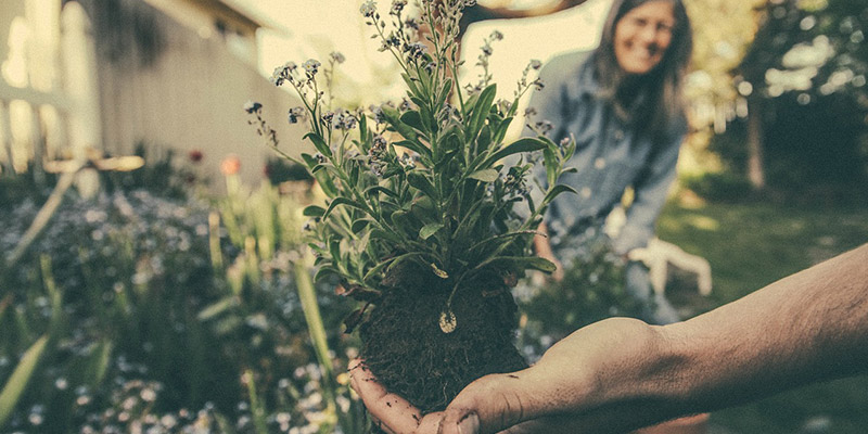 Bienfaits du jardinage