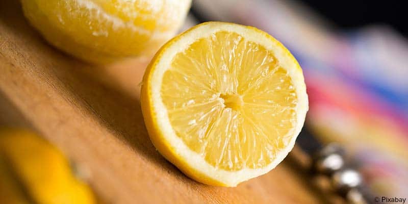 citronnier en pot