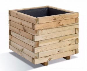 Planter un citronnier en pot