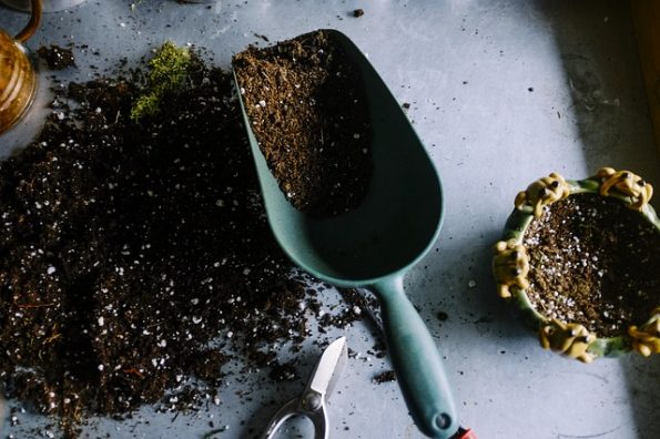 entretenir les herbes aromatiques