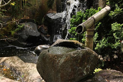l-eau-dans-le-jardin-japonais