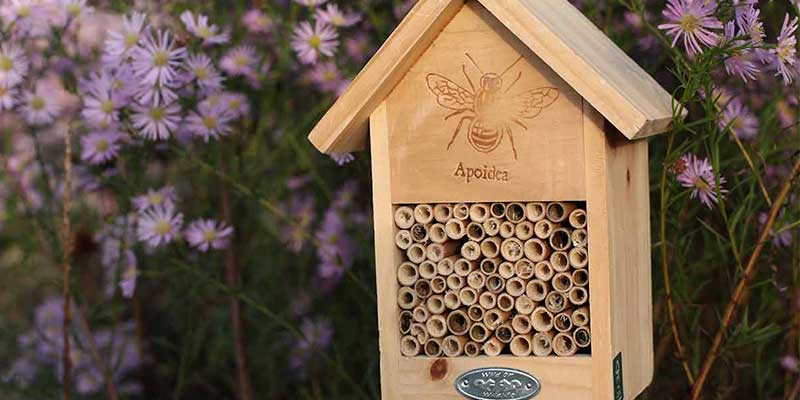 Hôtel en bois pour abeilles