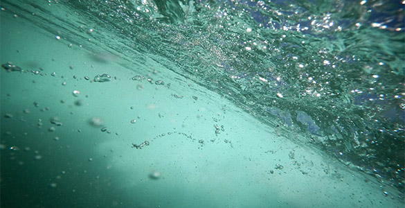 Prévenir sa piscine contre l'eau verte