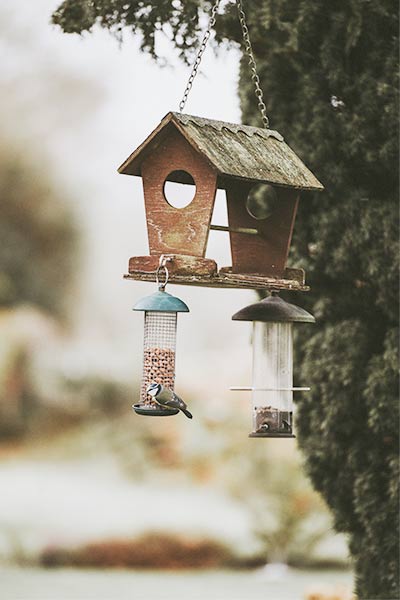 Mangeoire pour oiseaux à suspendre