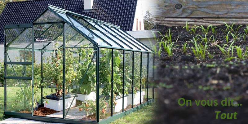 Serre en verre ou serre en polycarbonate ? - Blog Jardin Couvert