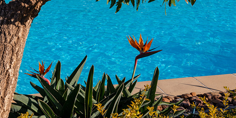 Choisir une pompe à chaleur pour piscine