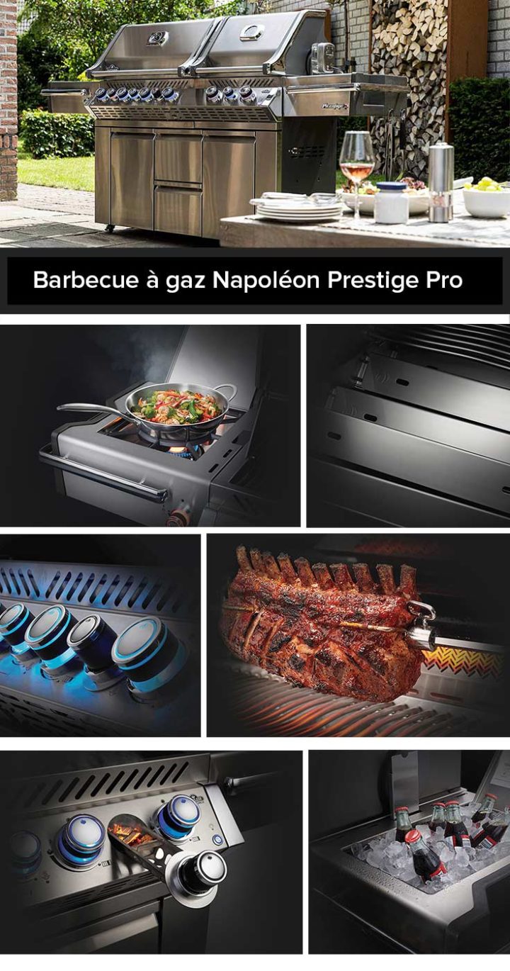 presentation-barbecue-gaz-napoleon-prestige-pro