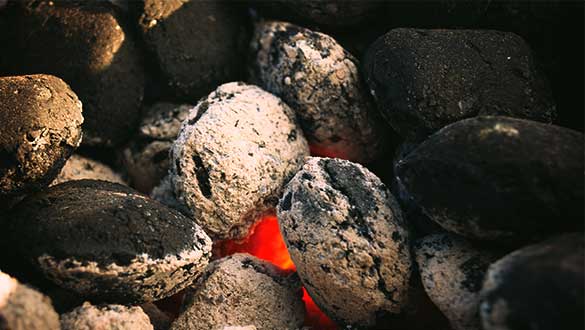 Briquettes pour barbecue