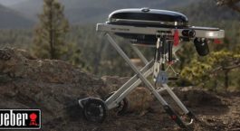 Barbecue à gaz Weber Traveler