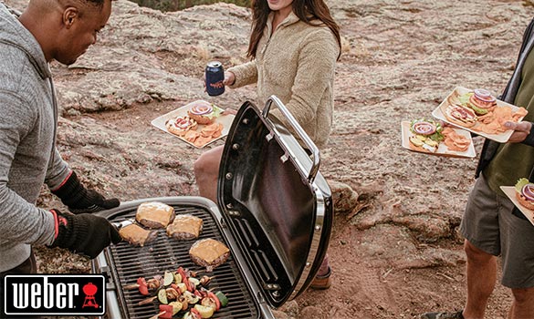 Barbecue à gaz Weber Traveler 