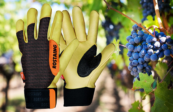 Gants Rostaing Rameau pour la taille de la vigne