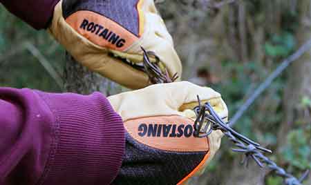 Gants Rostaing Clôture pour travaux épineux et barbelés