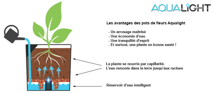 Arrosage par capillarité 