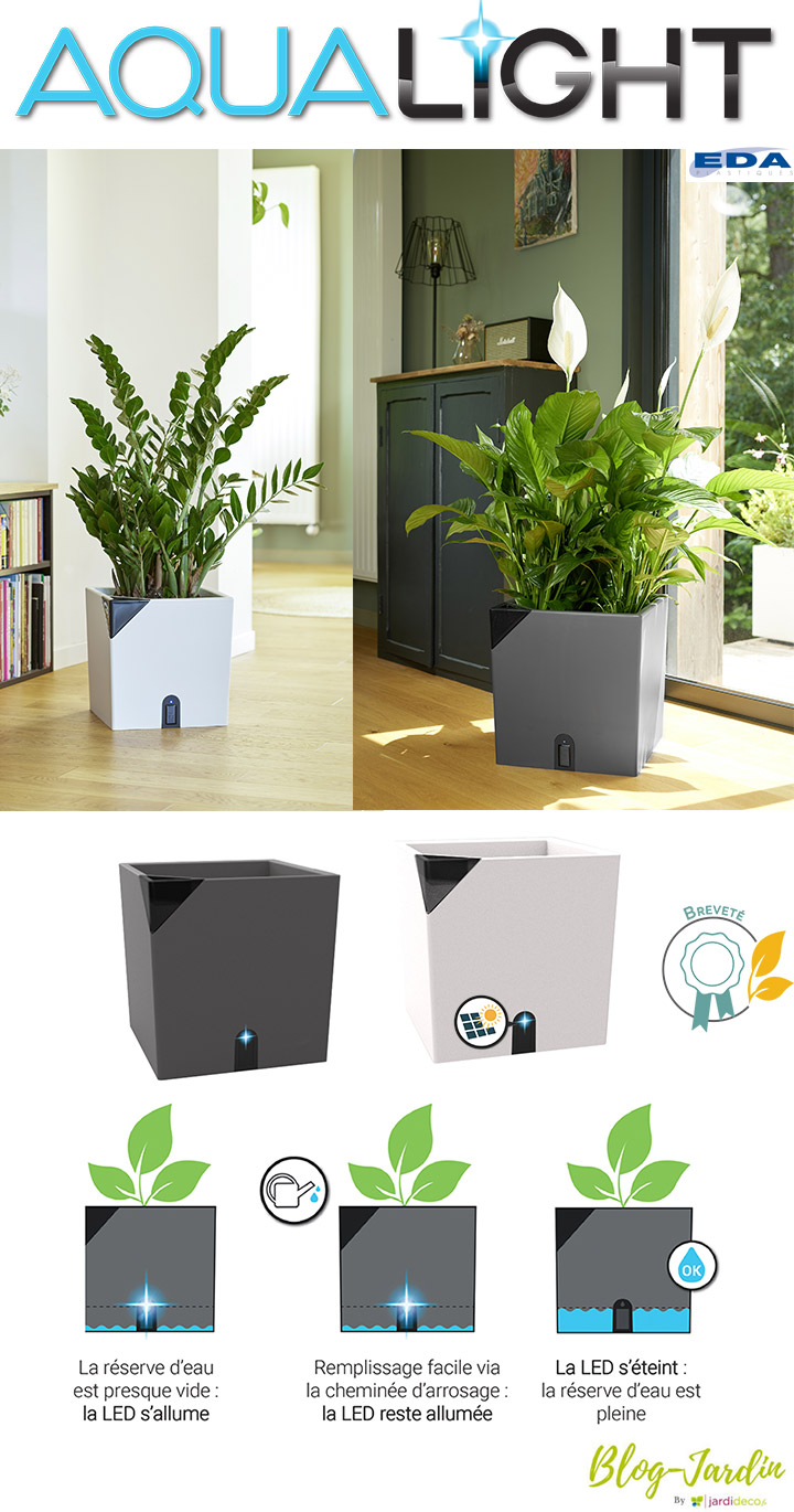 Le pot de fleurs d'intérieur Aqualight EDA au secours de votre plante verte  !