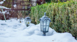 Borne jardin hiver