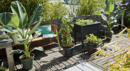 Faire un carré potager sur pied