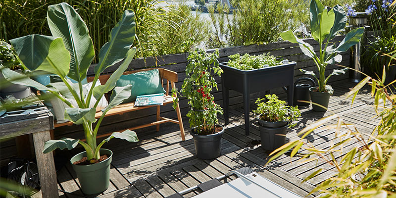 Faire un carré potager sur pied