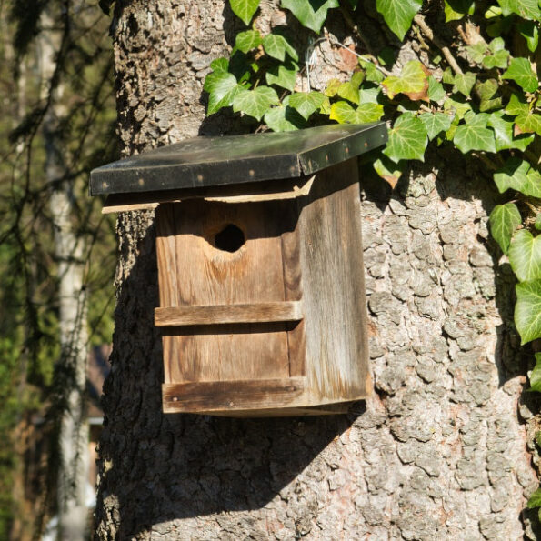 3 Nichoirs En Paille Tressée Pour Oiseaux - Maisons Suspendues Pour Jardin - Protection Et Décoration - 23 Cm