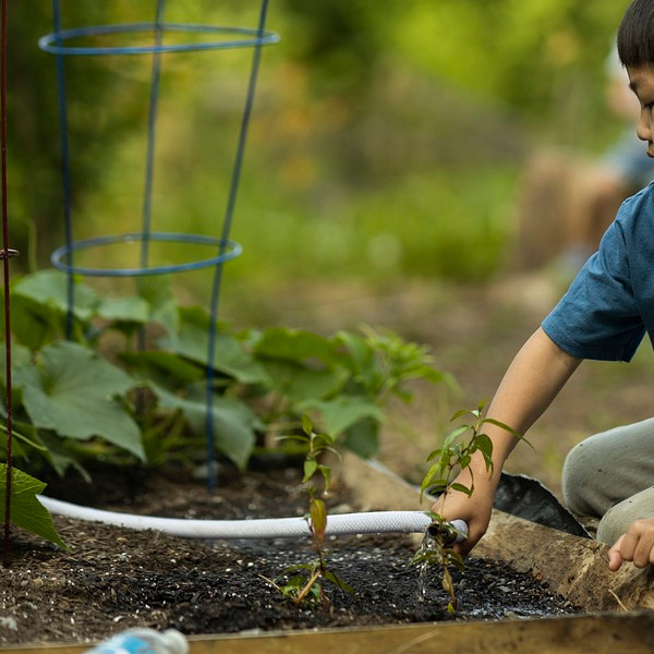 potager enfant